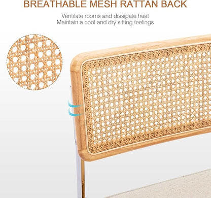 Zesthouse Natural Rattan Dining Chairs Set of 2, Mid Century Modern Dining Chairs with Solid Wood Back & Chrome Base, for Kitchen Living Room, Breuer Design Inspired, Upholstered Linen Fabric, Beige