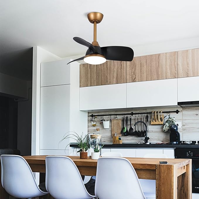 28 Inch Black Gold Ceiling Fan with Light and Remote, Industrial Modern Small Ceiling Fan, 6-Speed Quiet DC Motor, Reversible Airflow, Dimmable LED Light, Use for Bedroom, Dining Room, Kitchen