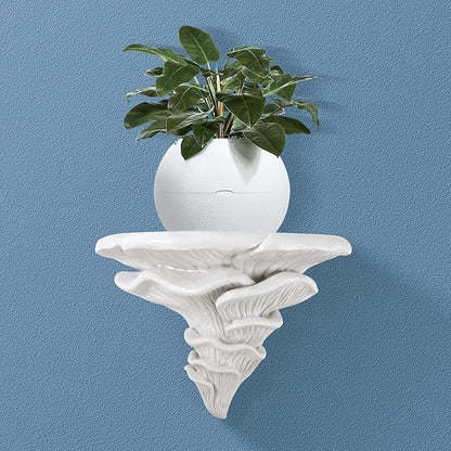UITWMKTG 1 Pack Large Mushroom Shelves Floating Shelf Cottage Core Wall Decor Cute Hanging Shelf for Home Living Room Bedroom Kitchen Unique Wall Decor White