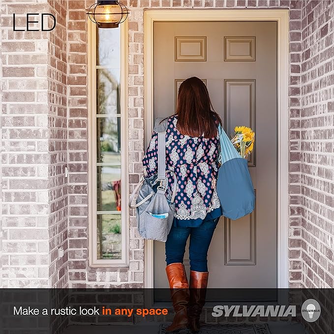 LEDVANCE Sylvania Vintage Essex Cage Light Fixture, Semi-Flush Mount, Matte Black Finish, 1 60W LED Dimmable A19 Bulb Included (60115)