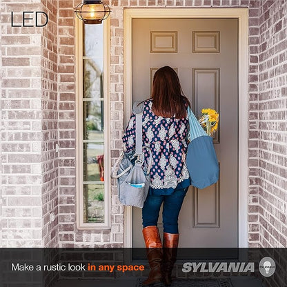 LEDVANCE Sylvania Vintage Essex Cage Light Fixture, Semi-Flush Mount, Matte Black Finish, 1 60W LED Dimmable A19 Bulb Included (60115)