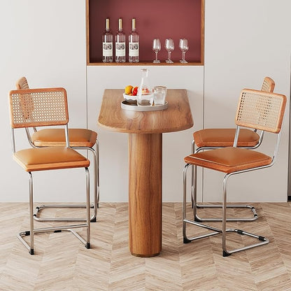 Alunaune 24inch Brown Rattan Barstools Set of 2, Upholstered Modern Counter Bar Height Stools with Metal Chrome Legs for Living Room