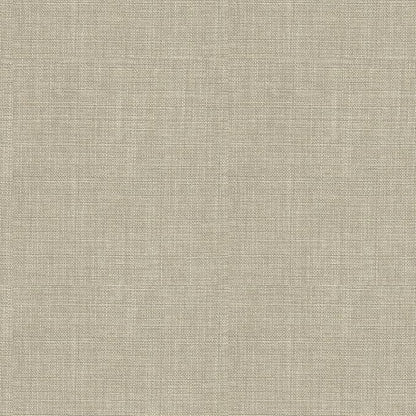 HomePop Michele Dining Chair with Nailhead Trim - Tan (Set of 2)